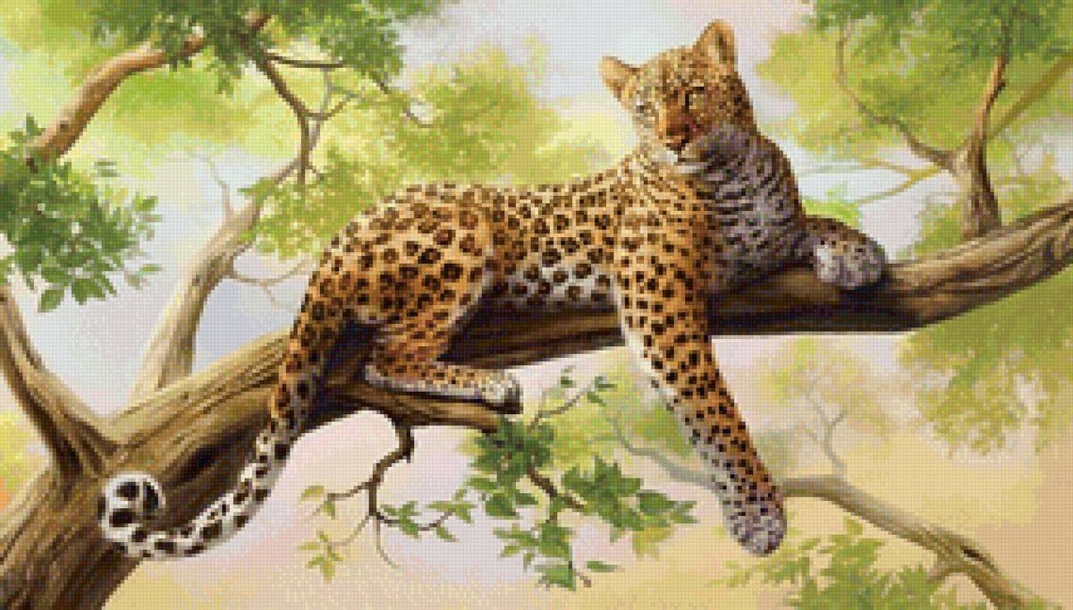 №1521874 - предпросмотр