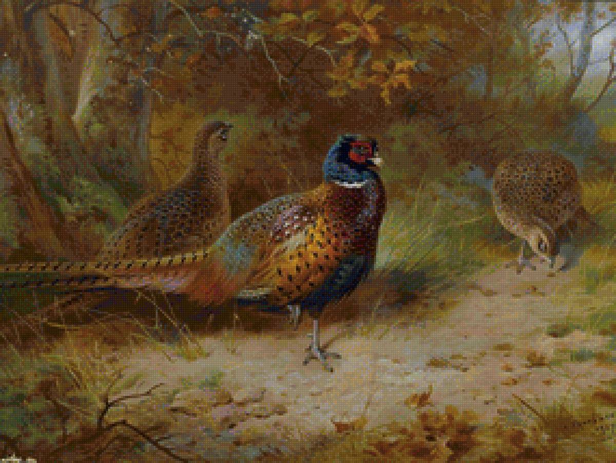 №1521974 - предпросмотр