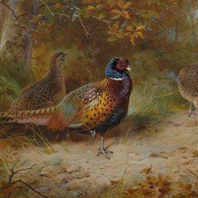 Схема вышивки «№1521974»