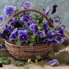 Схема вышивки «№1522121»