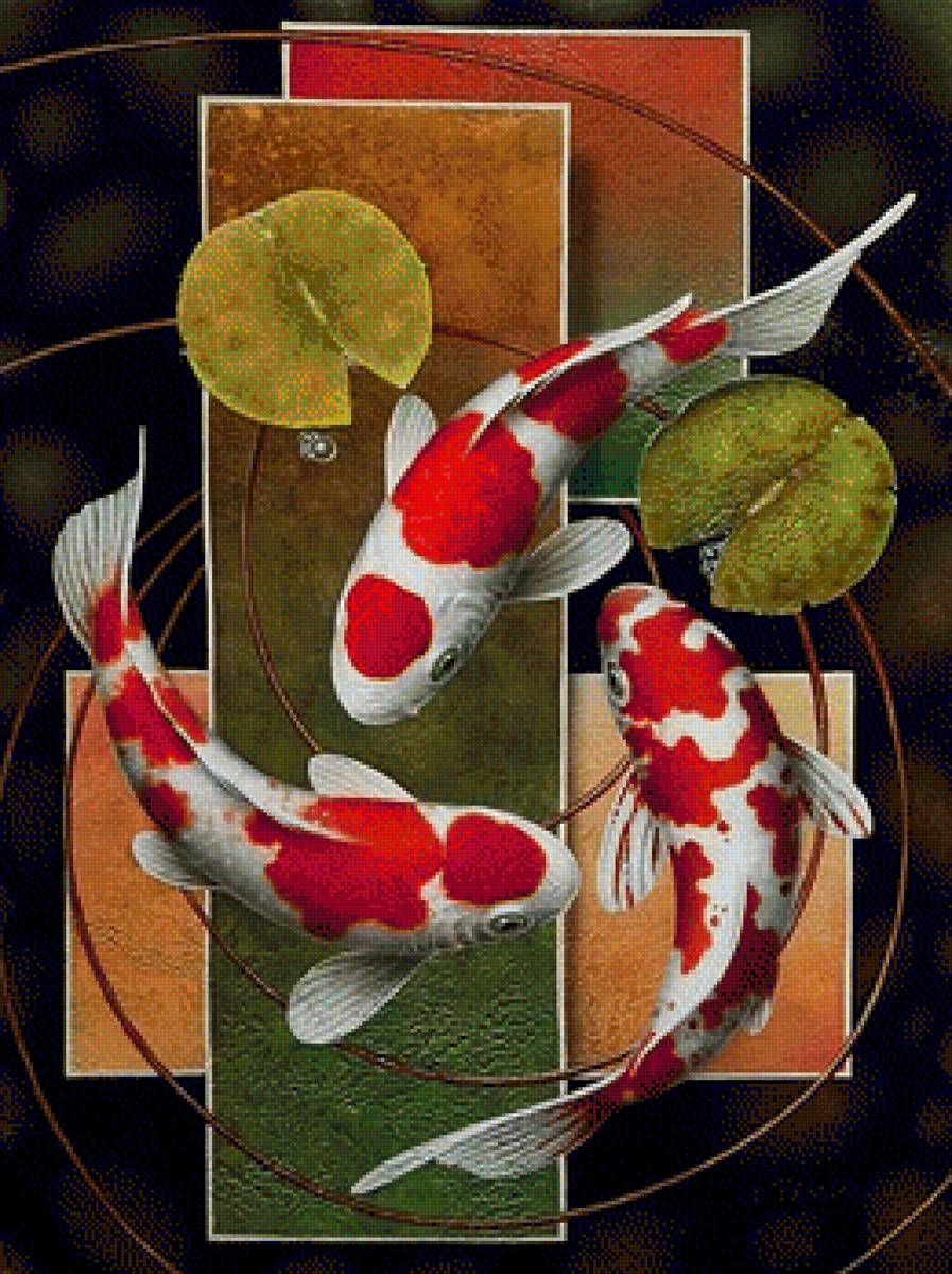 Karpie - animals, fish, karpie - предпросмотр