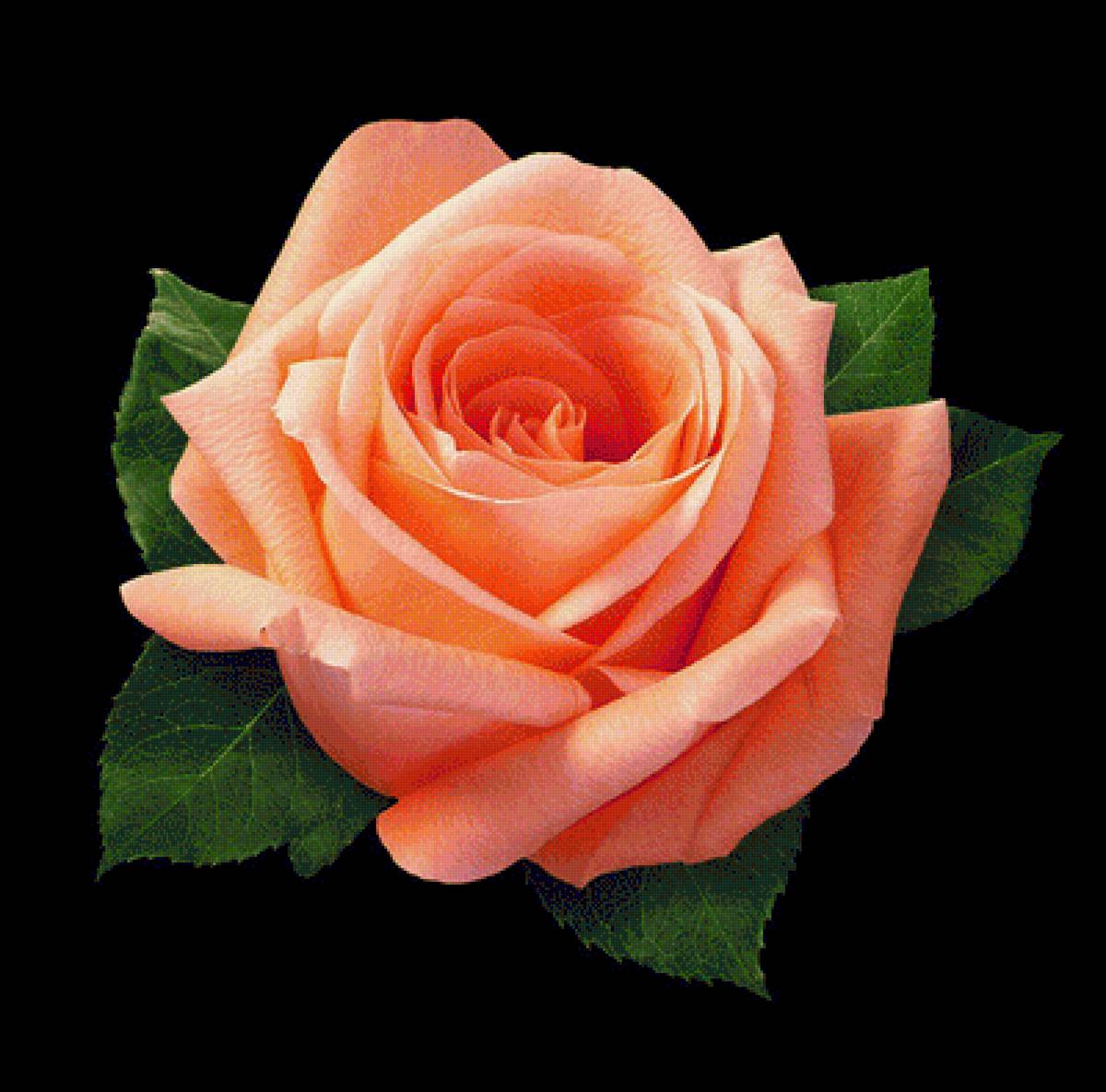 №1523124 - предпросмотр