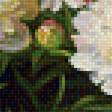 Предпросмотр схемы вышивки «пионы» (№1523226)
