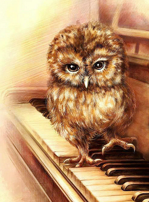 Совёнок - оригинал