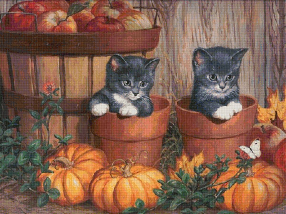 Котятки - предпросмотр