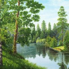 лесная речка