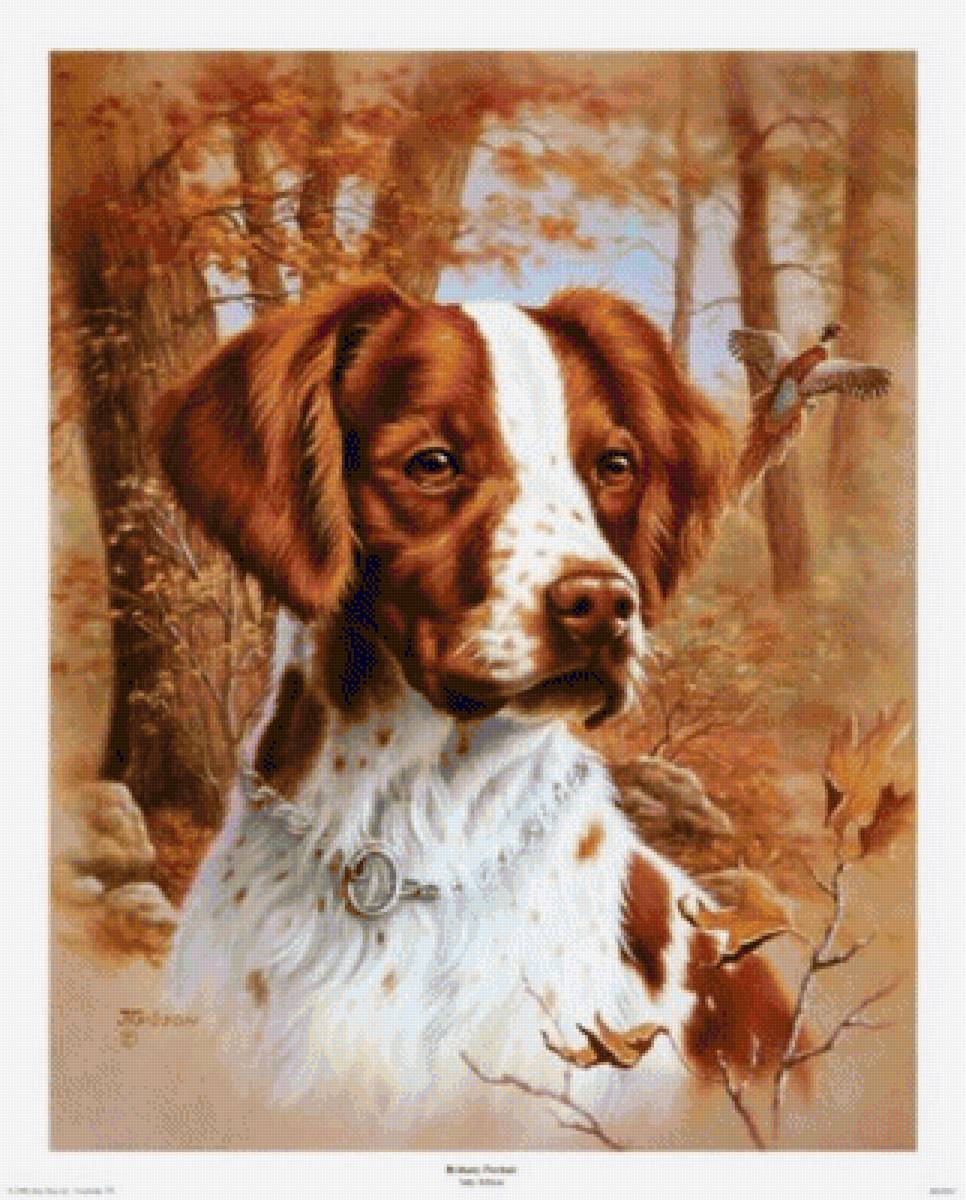 №1523715 - предпросмотр