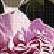 Предпросмотр схемы вышивки «букет» (№1524388)