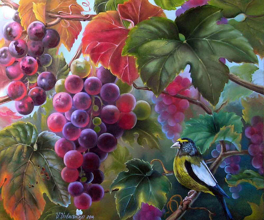 виноград - оригинал