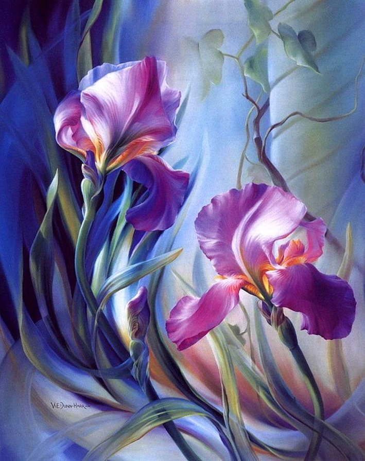 ИРИСЫ - ирисы - оригинал