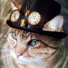 Схема вышивки «кот в шляпе»