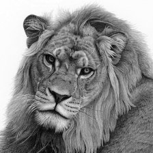 Схема вышивки «царь))»