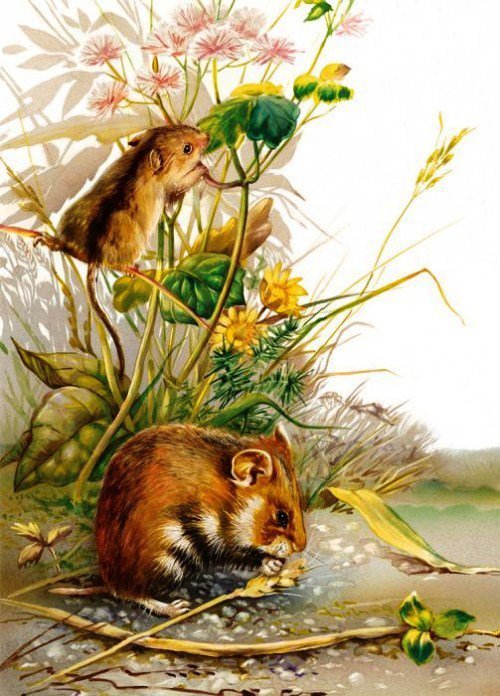 Мышки - оригинал