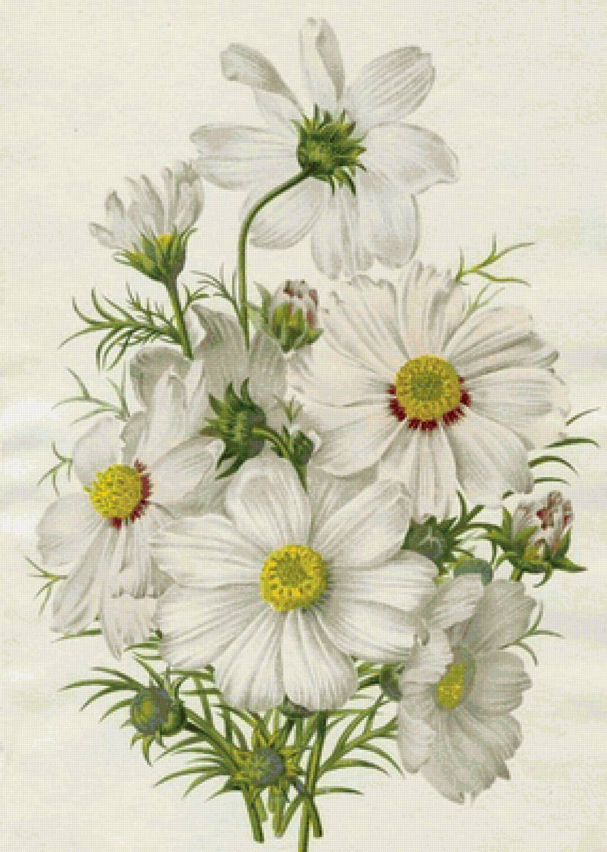 Цветочки) - предпросмотр