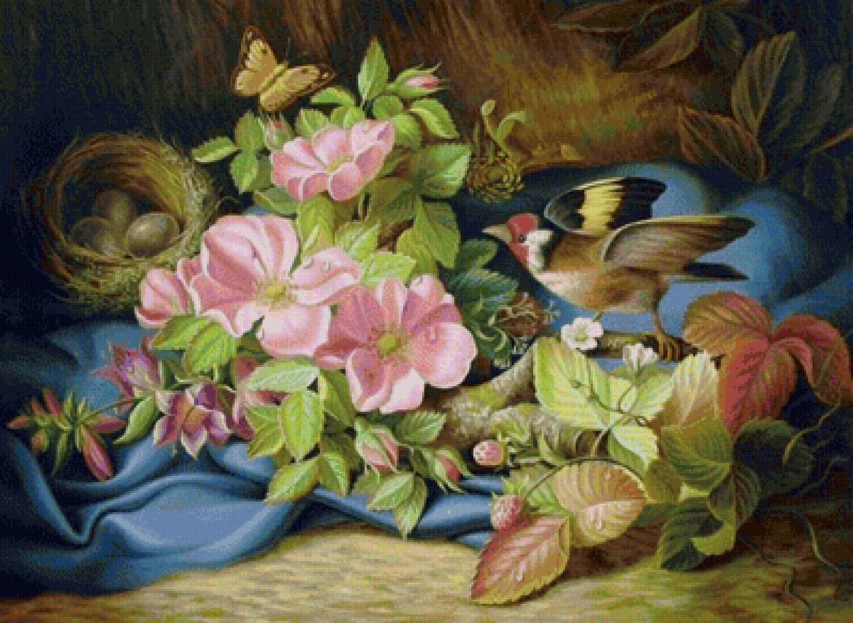 Около гнезда - предпросмотр