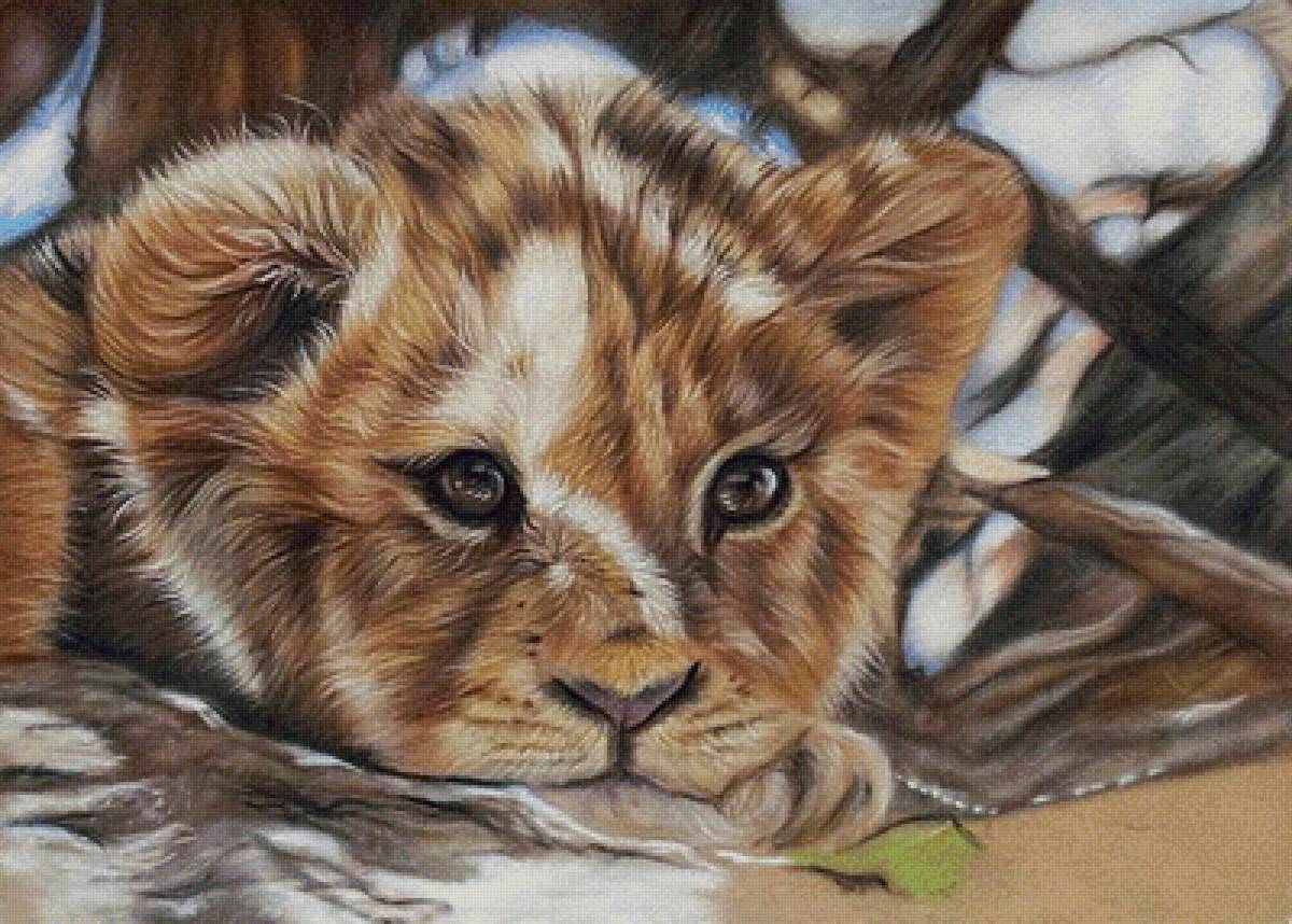 милый малыш - хищники, кошки, львенок - предпросмотр