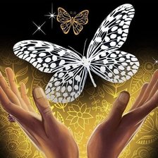 Схема вышивки «бабочка»