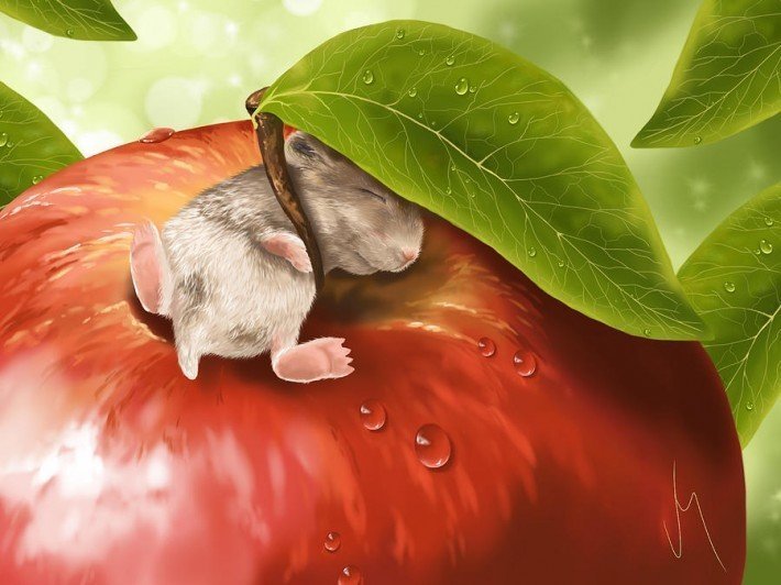 Сладкий сон - яблоко, мышь - оригинал