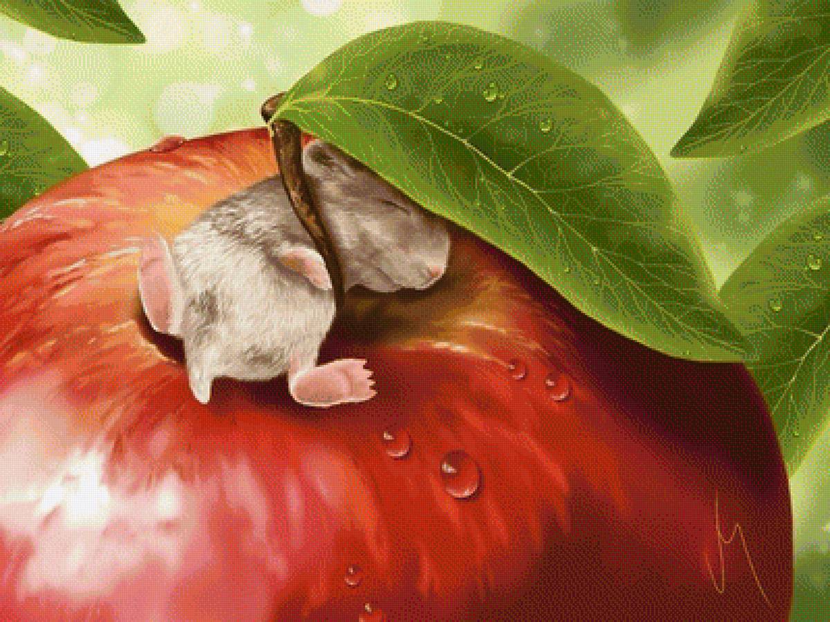 Сладкий сон - мышь, яблоко - предпросмотр