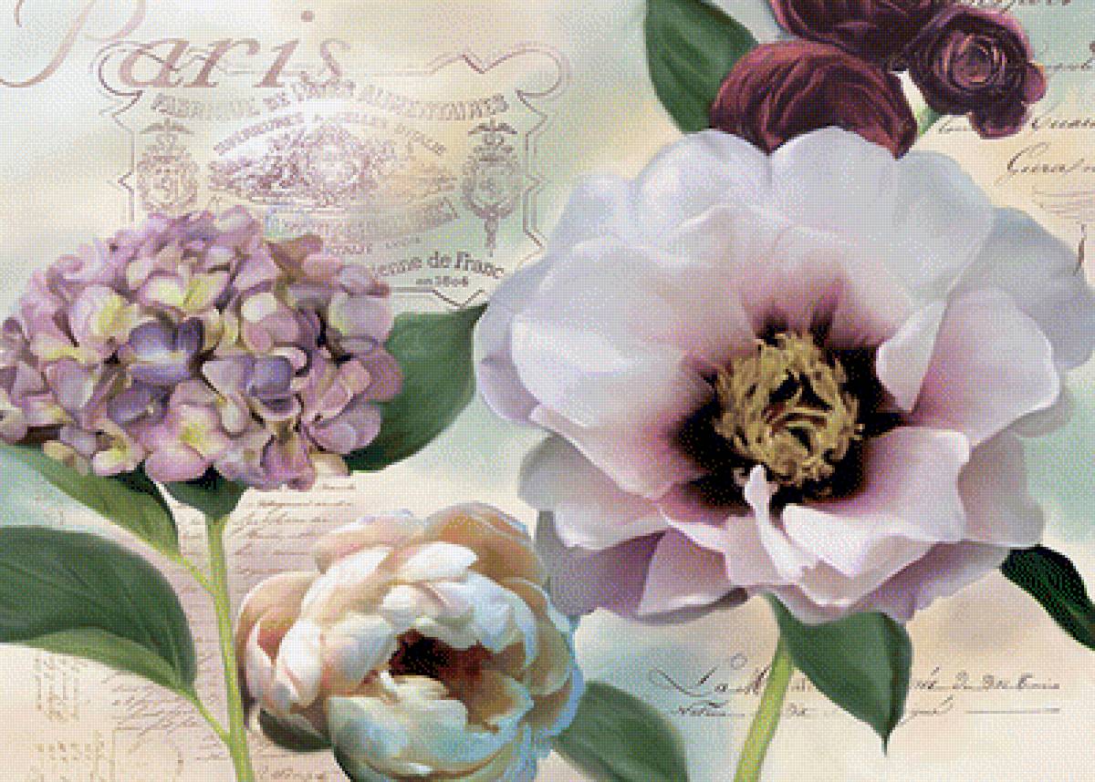 Цветы - цв - предпросмотр