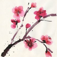Оригинал схемы вышивки «sakura bloom» (№1528923)