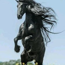 Схема вышивки «конь 2»