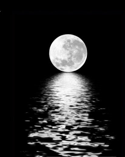 Лунная ночь - ночь, черно-белая, природа, пейзаж - оригинал