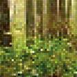Предпросмотр схемы вышивки «В лесу» (№1529787)