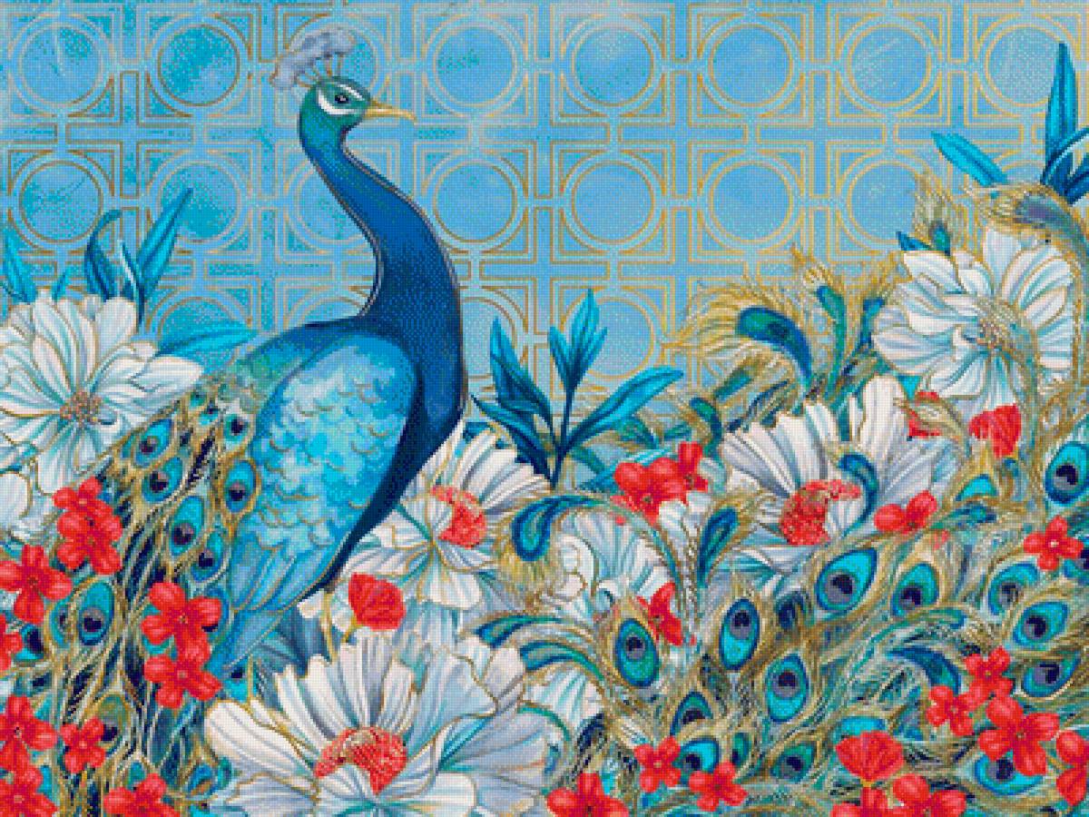 Павлин - птицы - предпросмотр