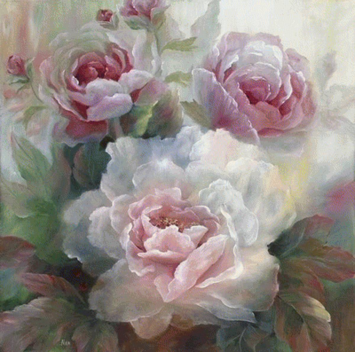 Розы - цветы - предпросмотр