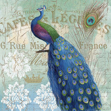 Схема вышивки «Павлин»