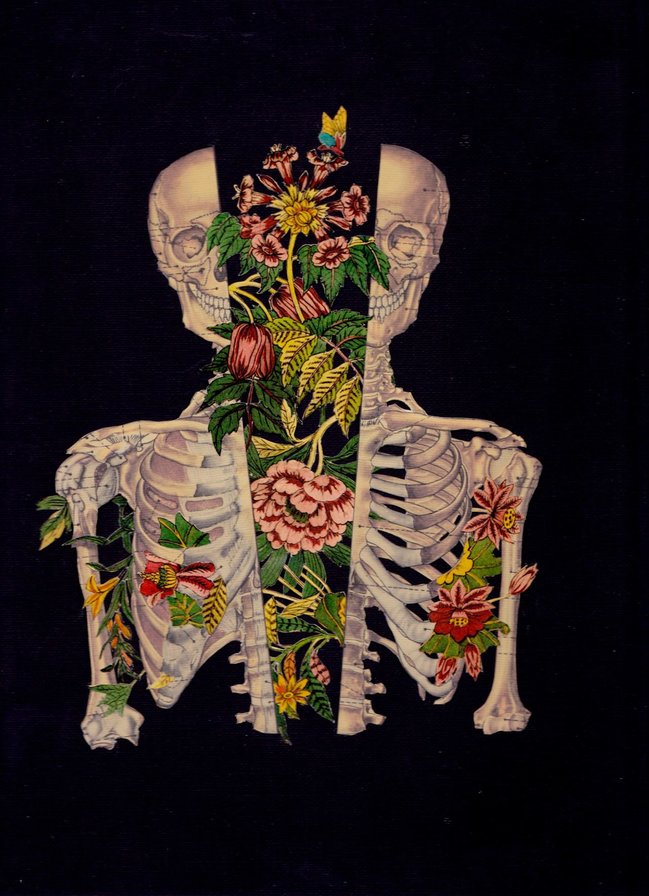внутренняя красота - flowers, глубокий внутренний мир, inner beauty, скелет, цветы, bones - оригинал
