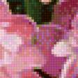 Предпросмотр схемы вышивки «пионы» (№1531831)