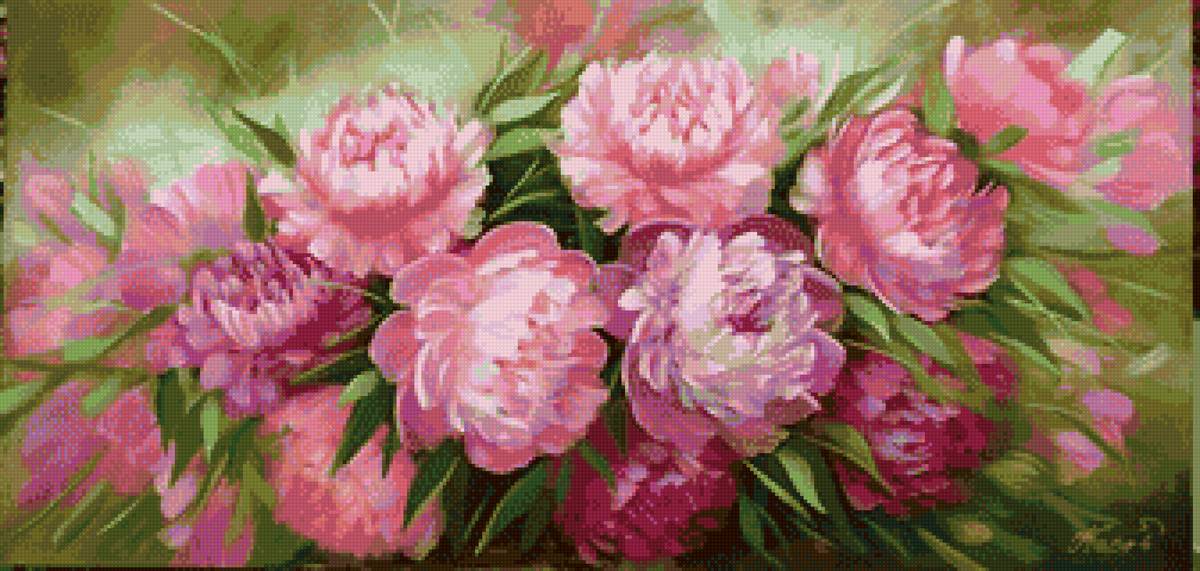 пионы - пионы, цветы - предпросмотр