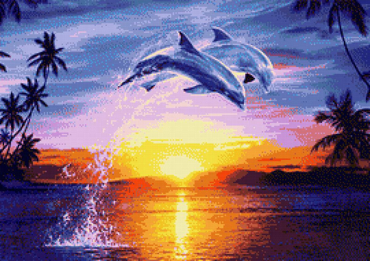 Дельфины на закате - дельфины - предпросмотр