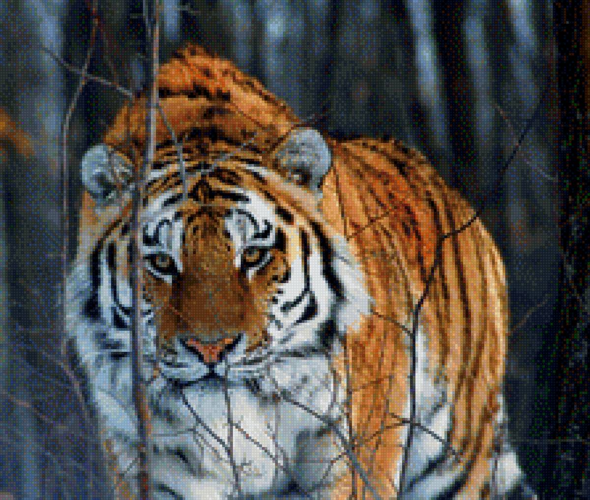 Тигр зимой - тигр - предпросмотр