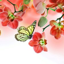 Оригинал схемы вышивки «Орхидея» (№1532074)