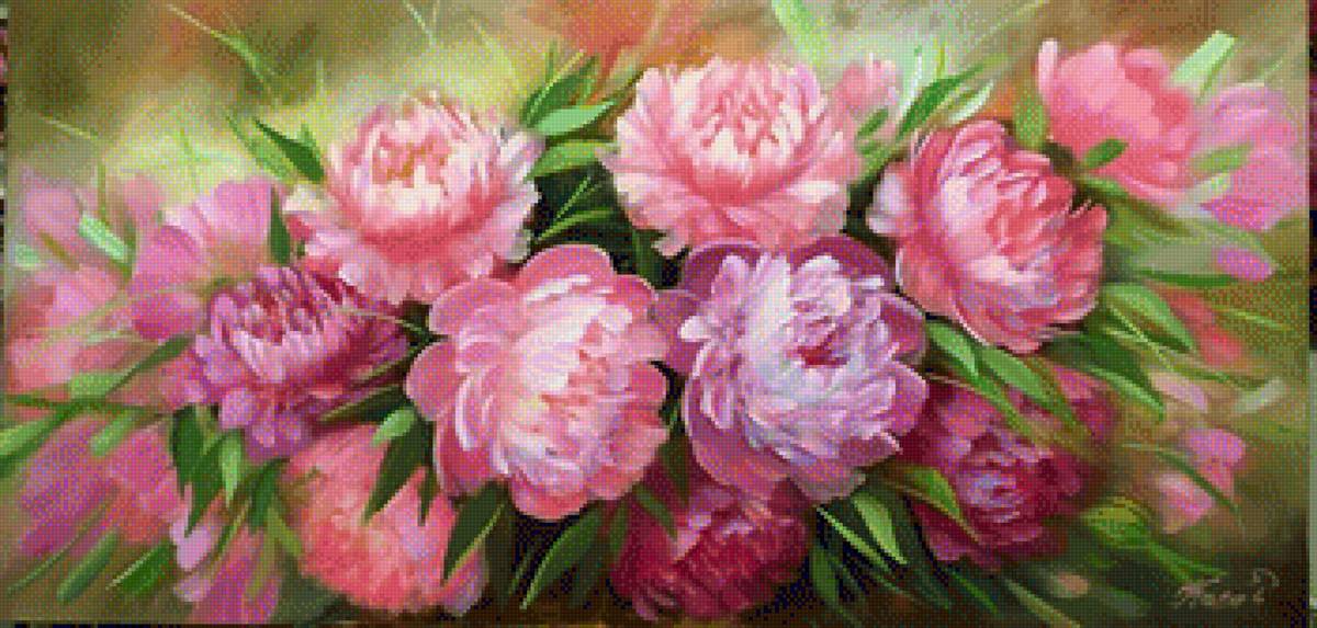 piwonie - podłużne - предпросмотр