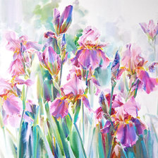 Схема вышивки «Тимошин Олег -В лето»