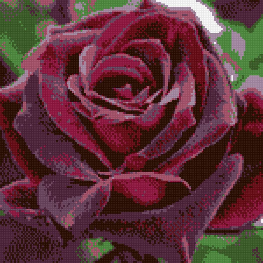 roza - предпросмотр