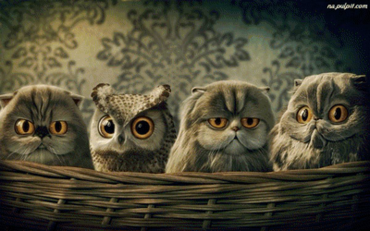 мы похожи - предпросмотр