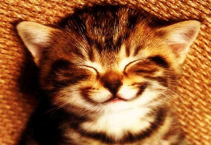 Релакс... - кайф релакс позитив - оригинал