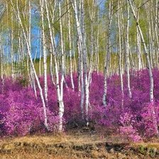 Схема вышивки «Багул в Забайкалье»