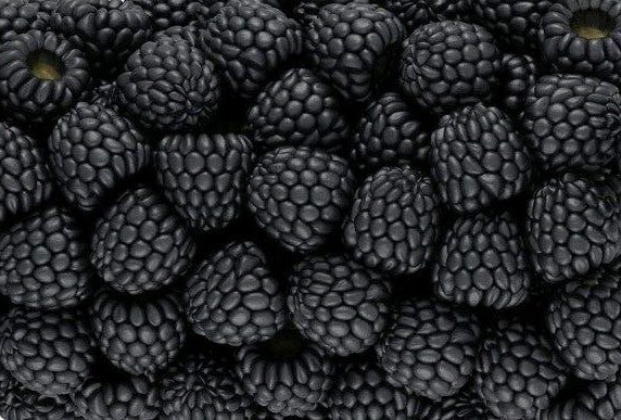 ежевика - ежевика ягоды - оригинал