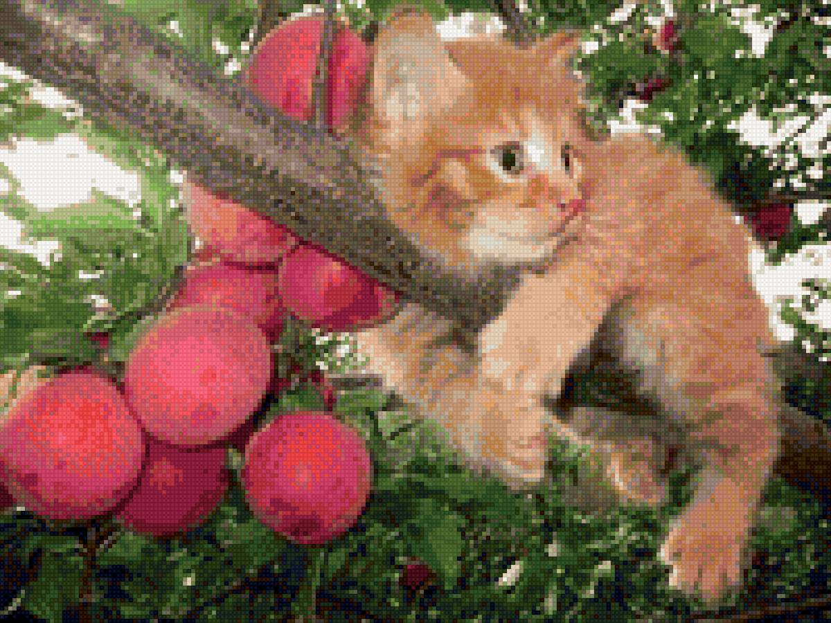 Золотой лучик - котенок - предпросмотр