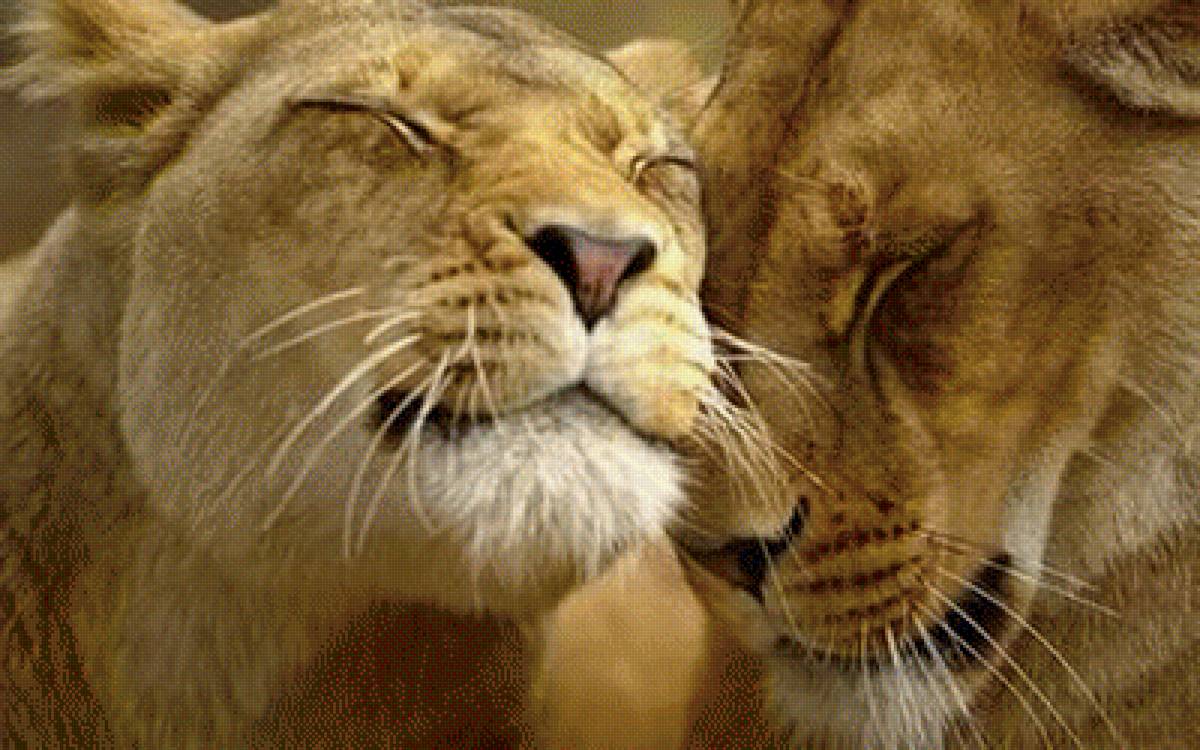 животные - природа - предпросмотр