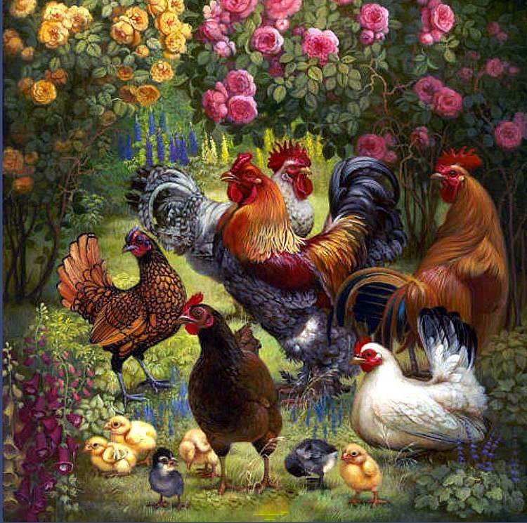 ПТИЧИЙ ДВОР - птичий двор - оригинал