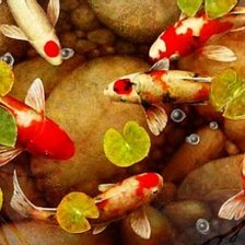 Схема вышивки «кои»