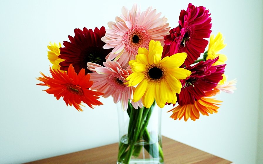 Герберы - герберы, цветы, букет - оригинал