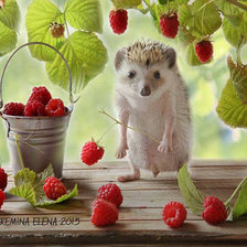 Схема вышивки «ежик»